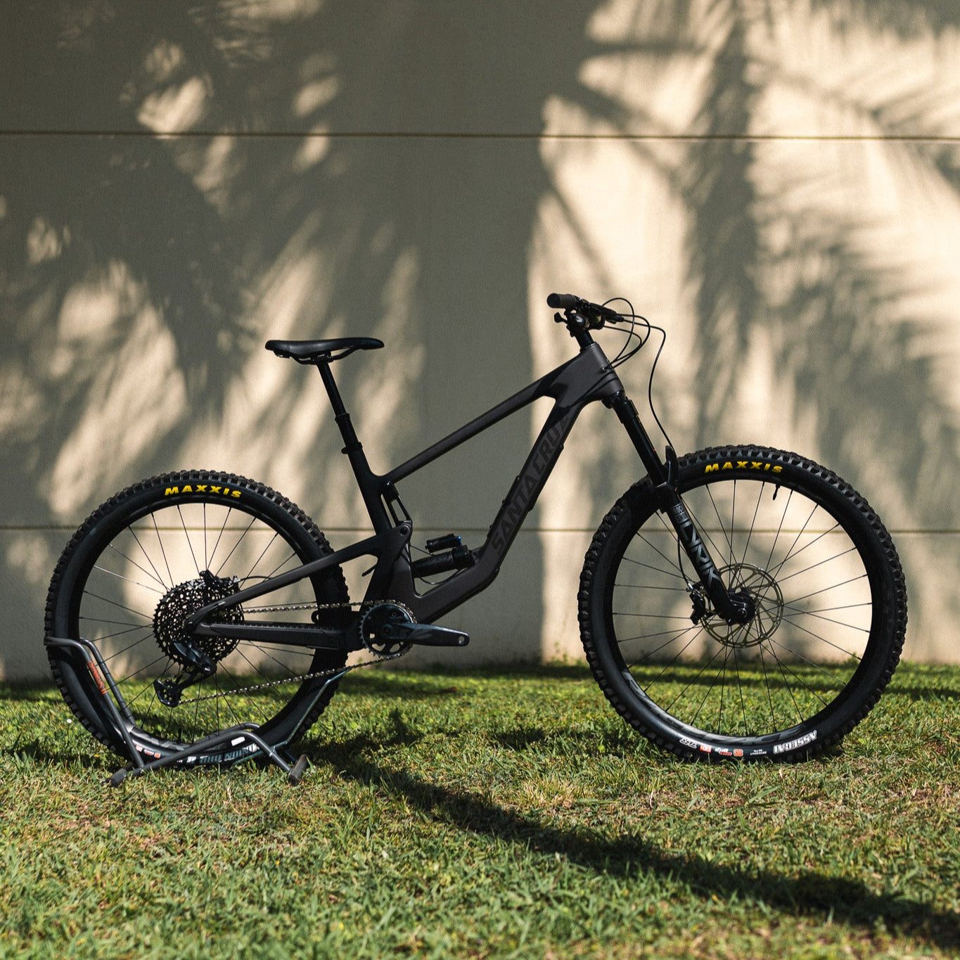Santa Cruz Bronson C