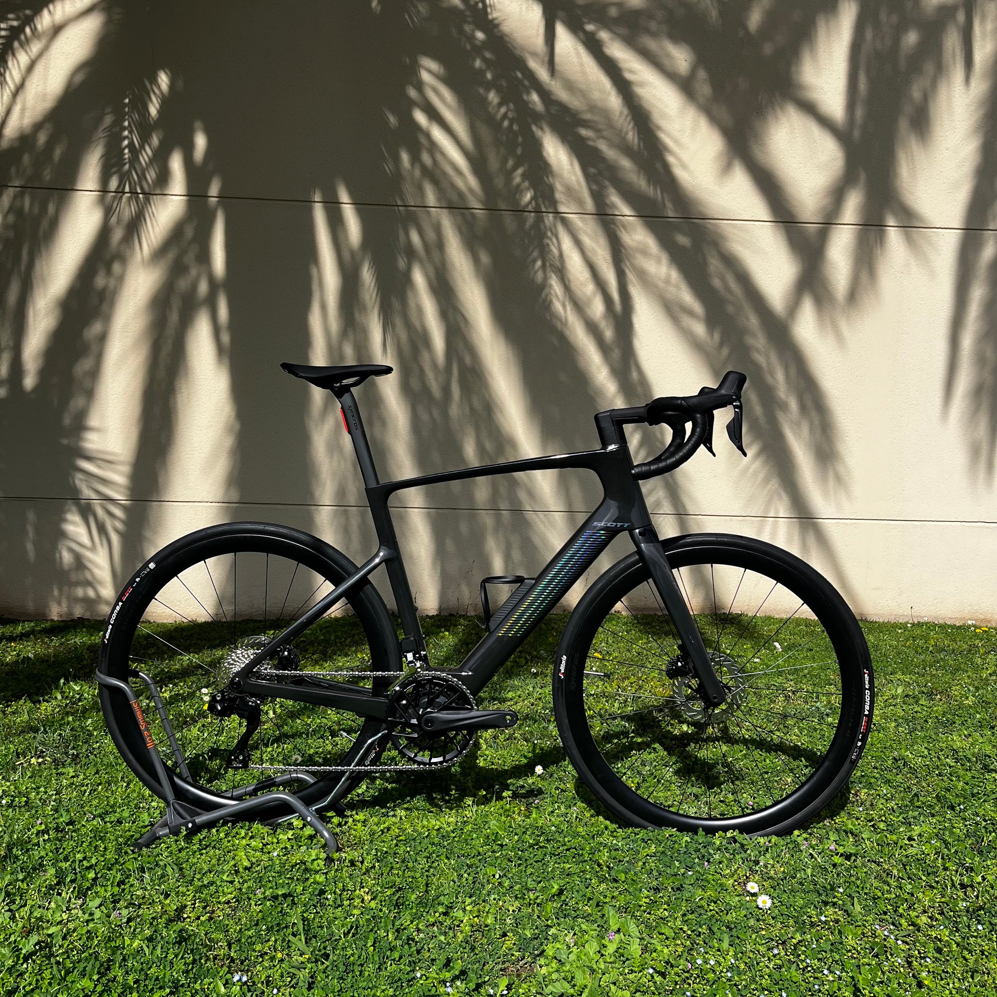 Scott Fastlane 20