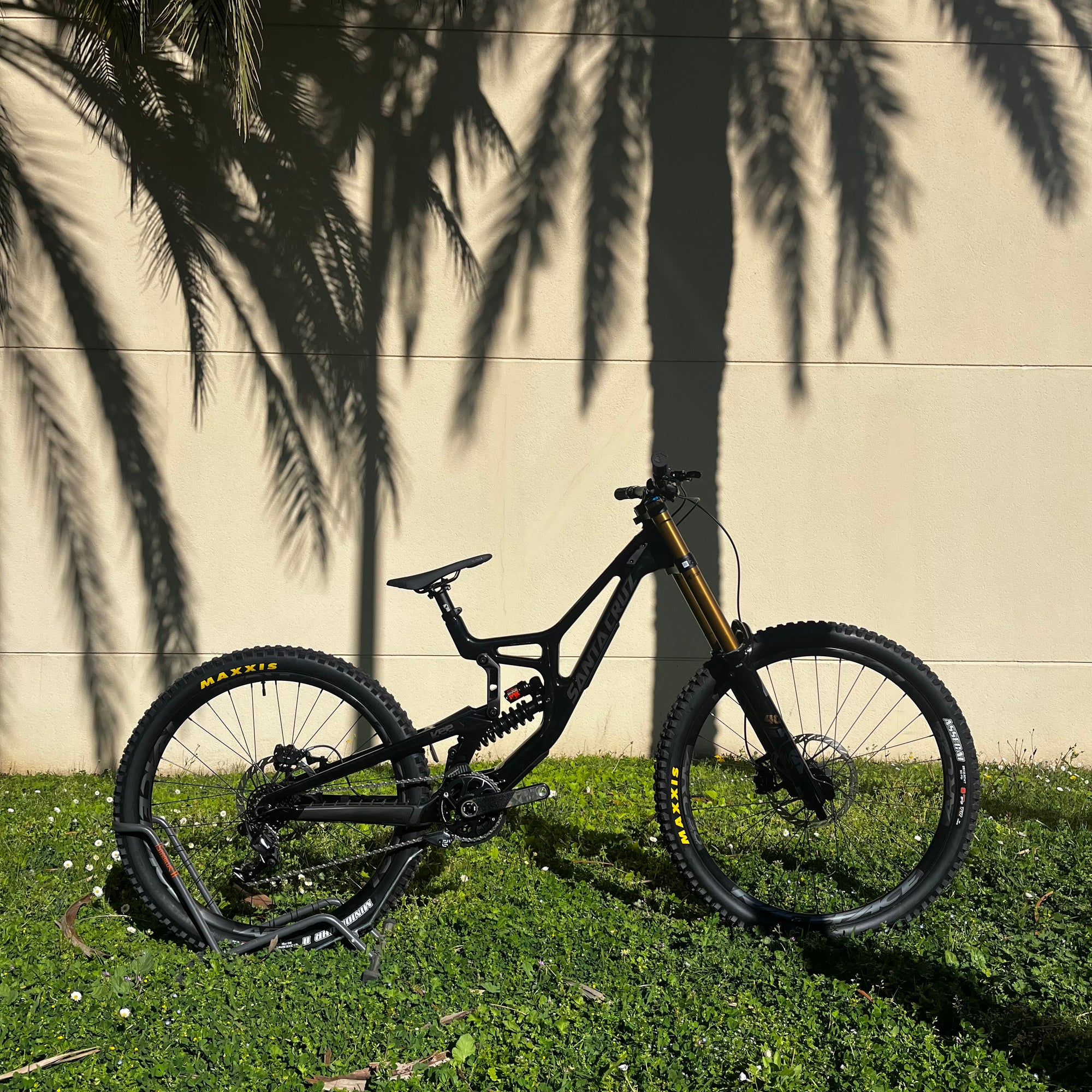Santa Cruz V10