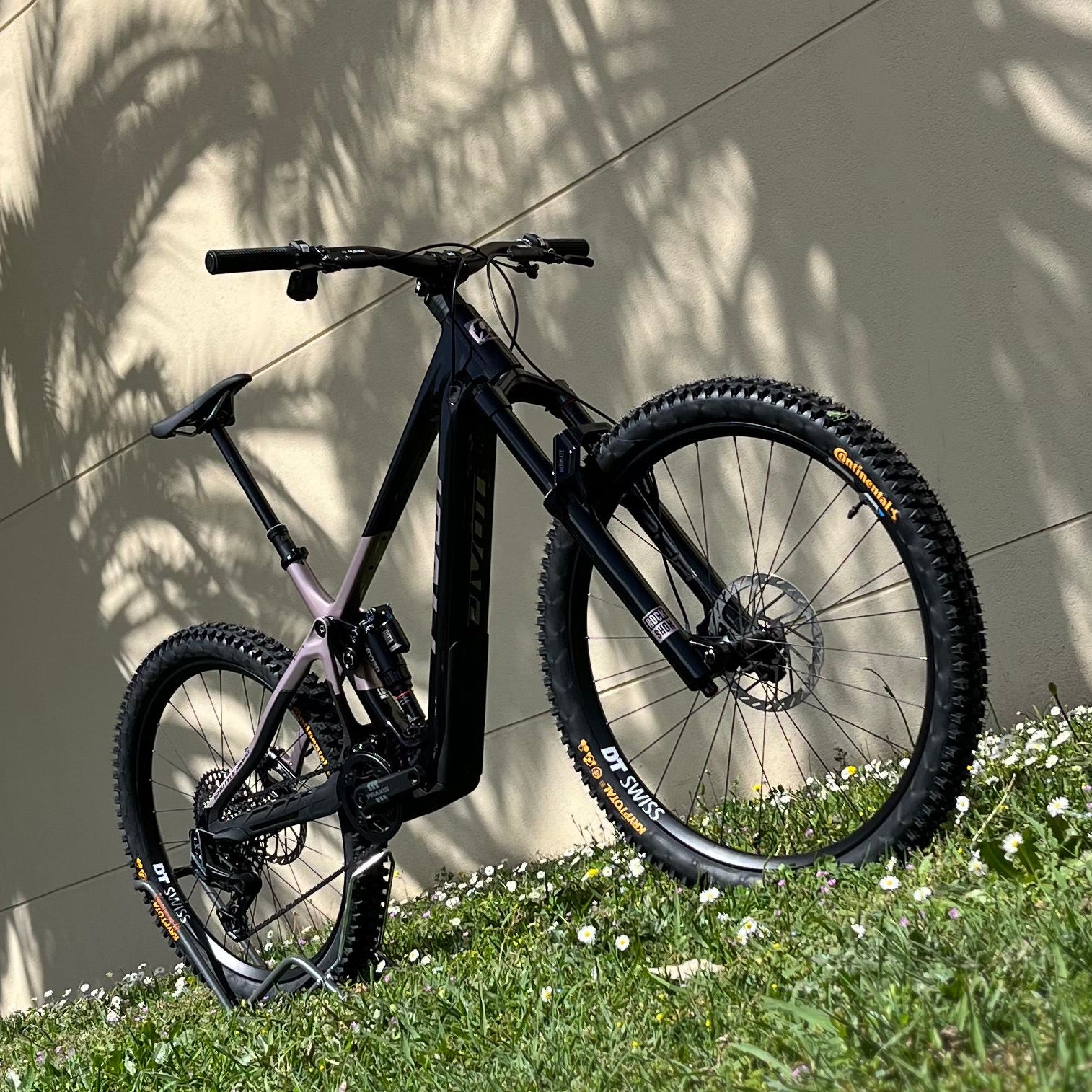Pivot Shuttle AMPD