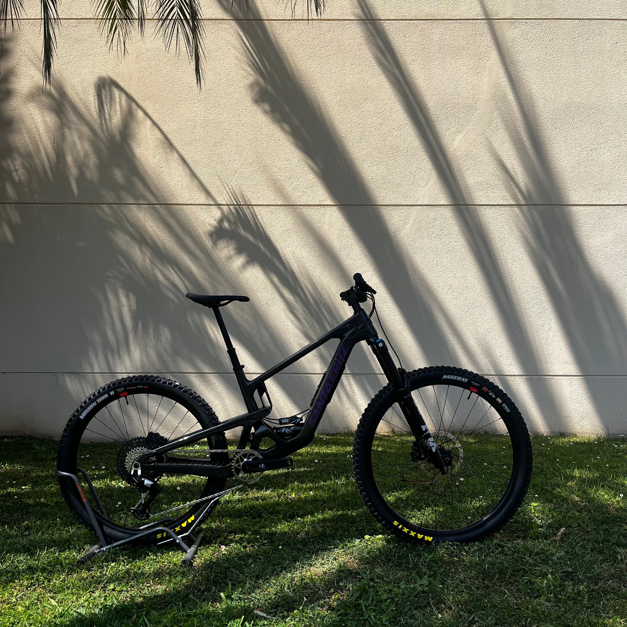 SANTA CRUZ BRONSON