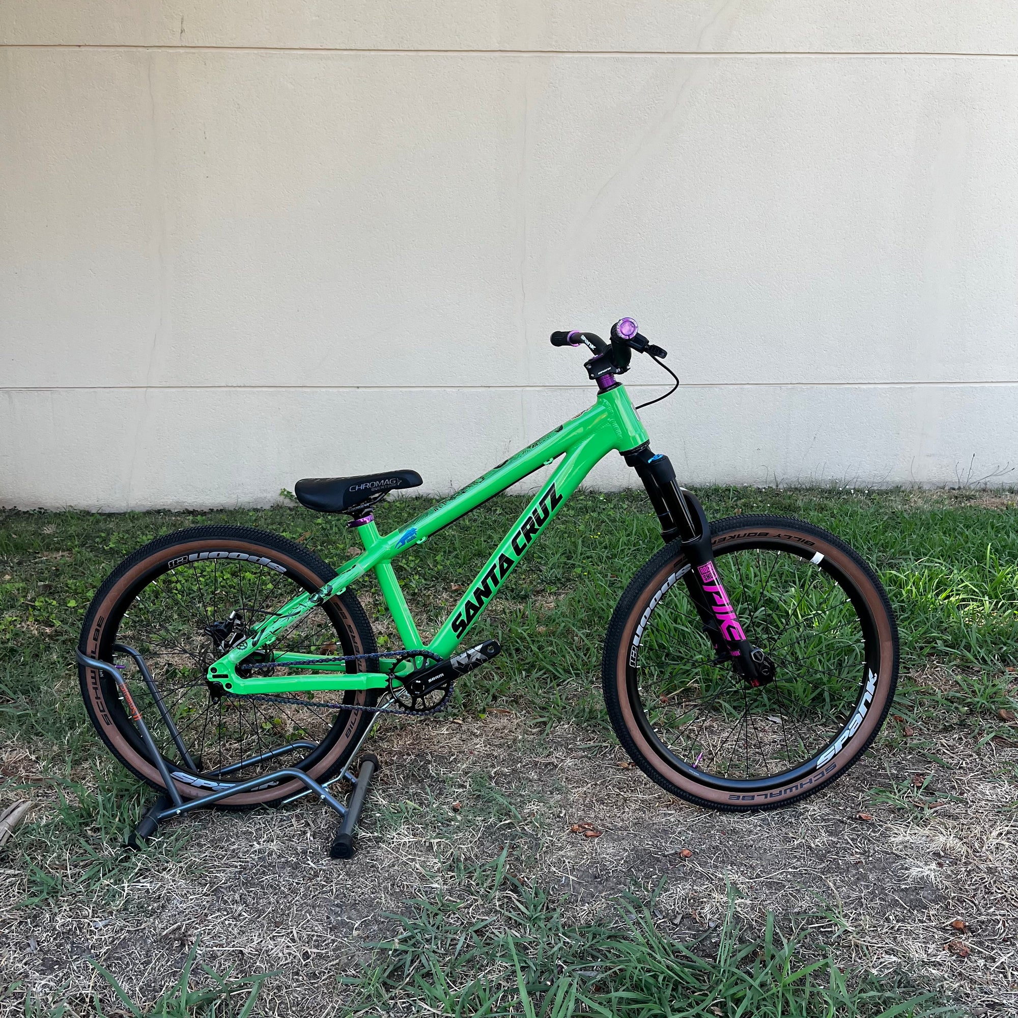 Santa Cruz Jackal