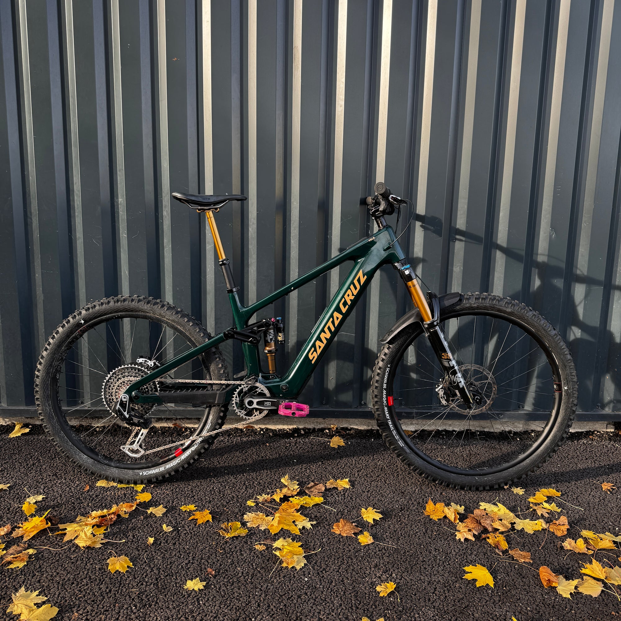 Santa Cruz Vala cc xx axs rsv