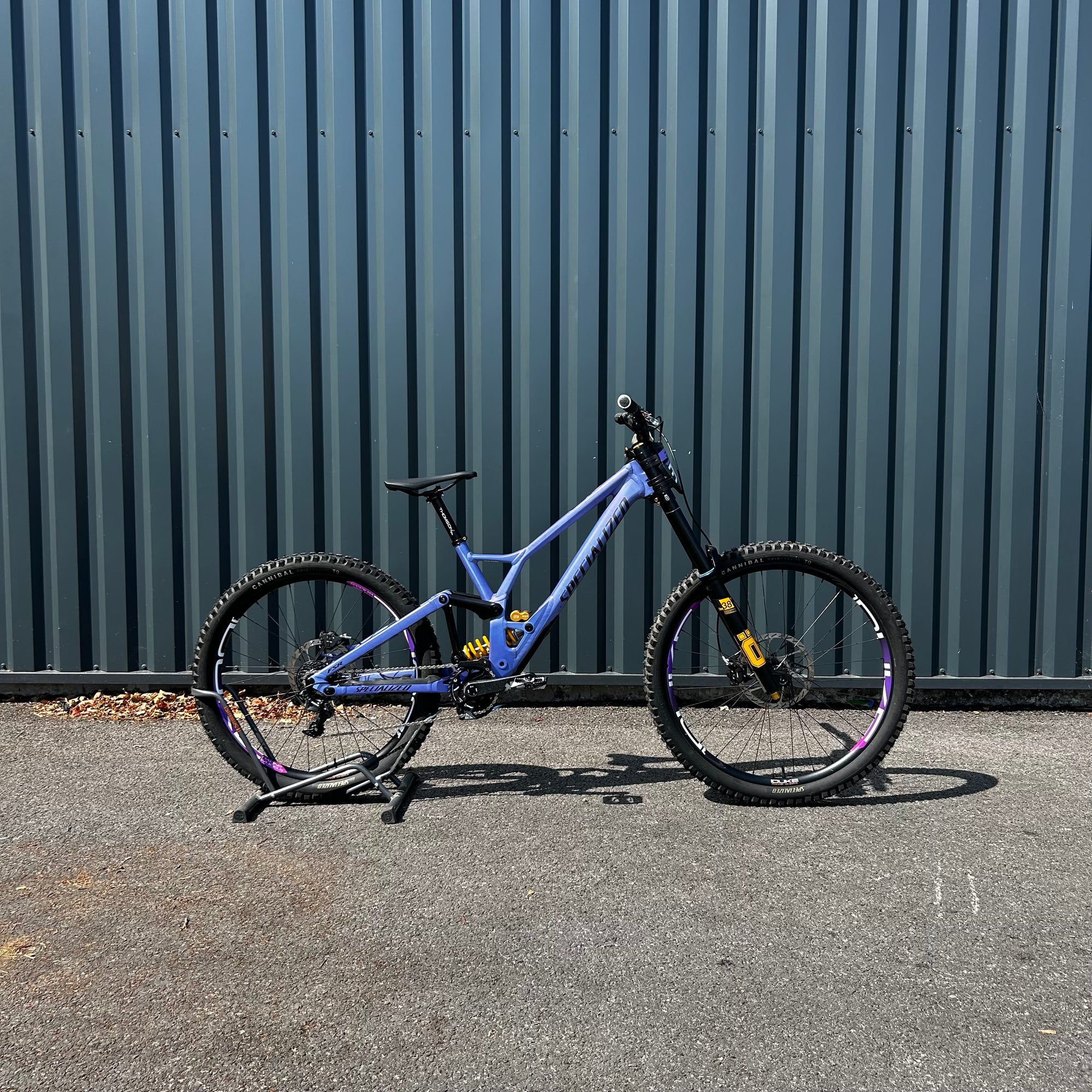 Specialized Demo Race